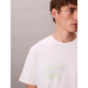 Calvin Klein Ανδρική κοντομάνικη μπλούζα Circle Graphic Relaxed T-Shirt